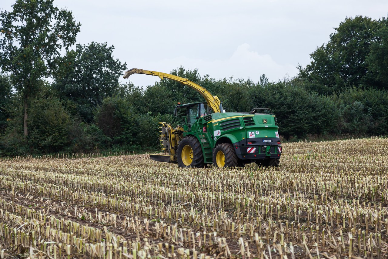 Bild 238 - Maisernte